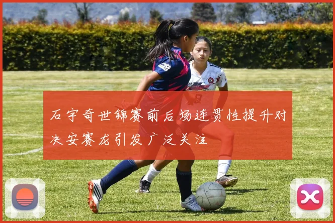 石宇奇世锦赛前后场连贯性提升对决安赛龙引发广泛关注